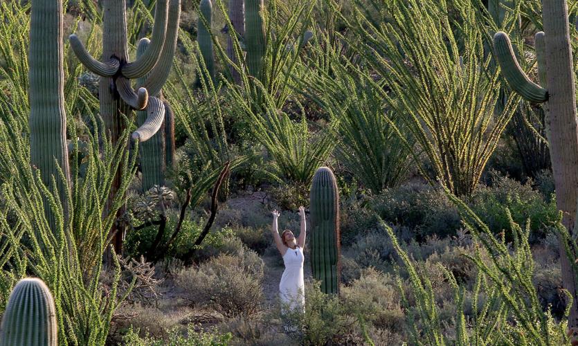 Saguaro Dance