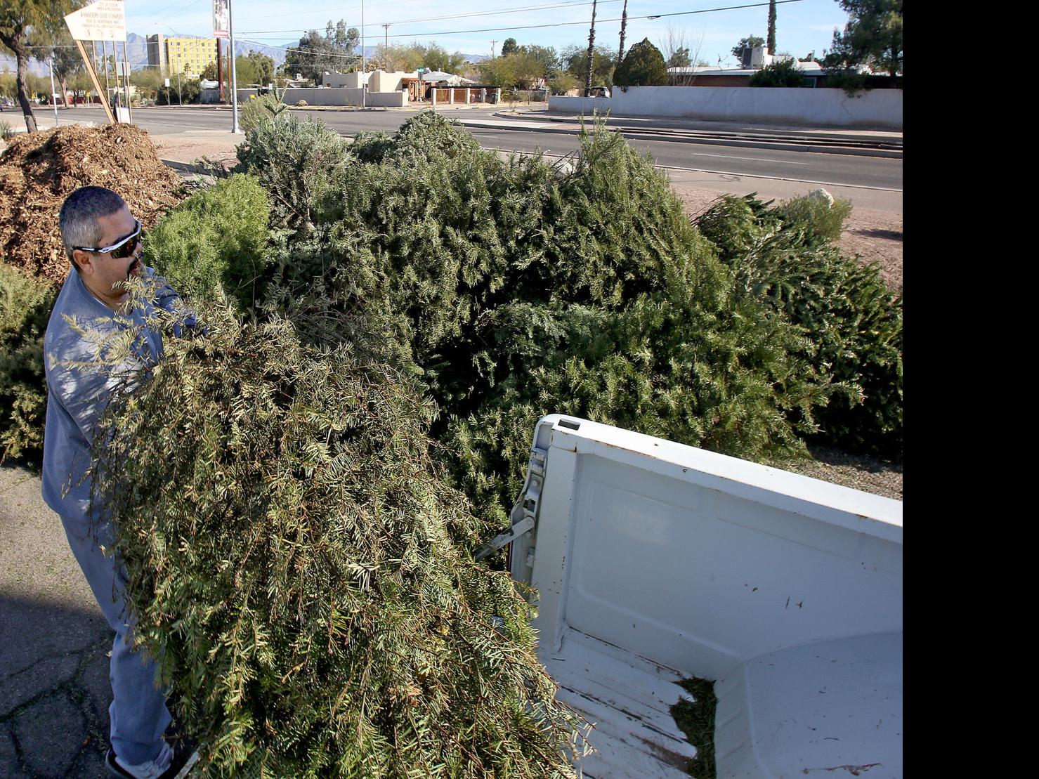 Where To Recycle Your Christmas Tree In Tucson Local News Tucson Com