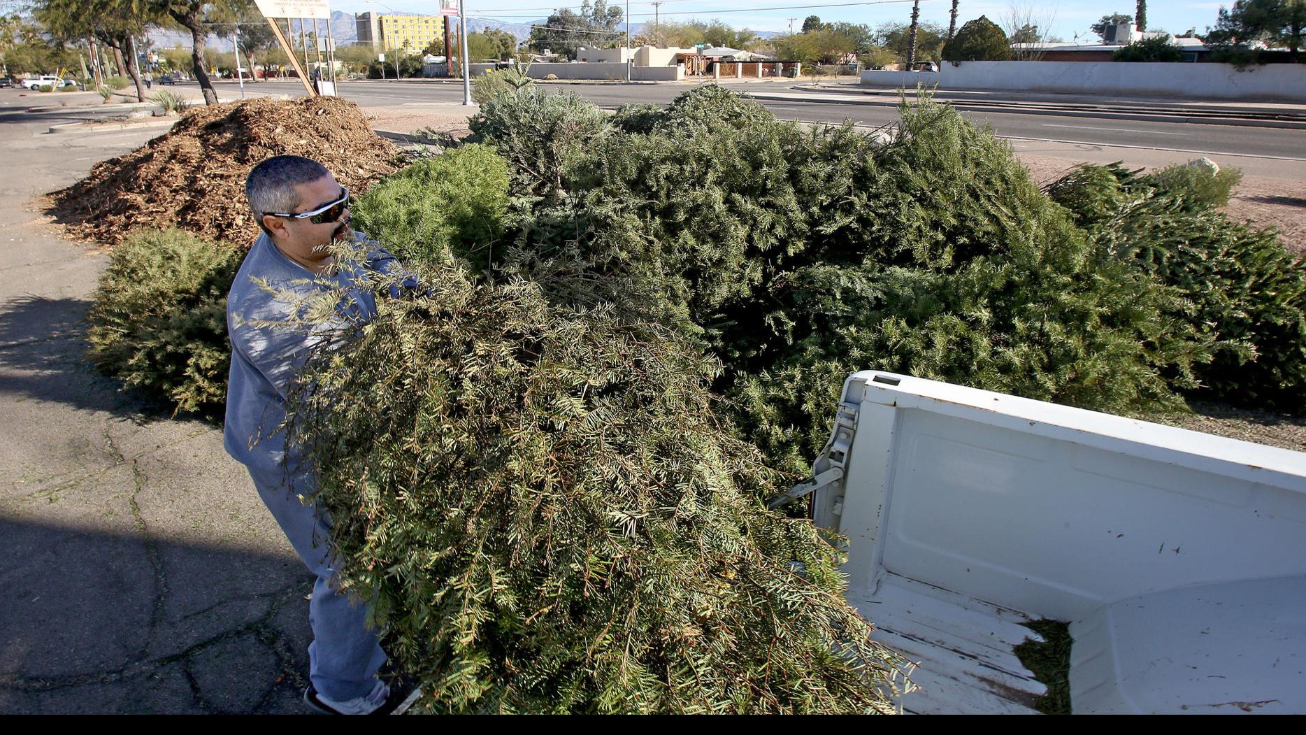 Where To Dispose Of Christmas Tree Tucson 2022 Where To Recycle Your Christmas Tree In Tucson | Local News | Tucson.com