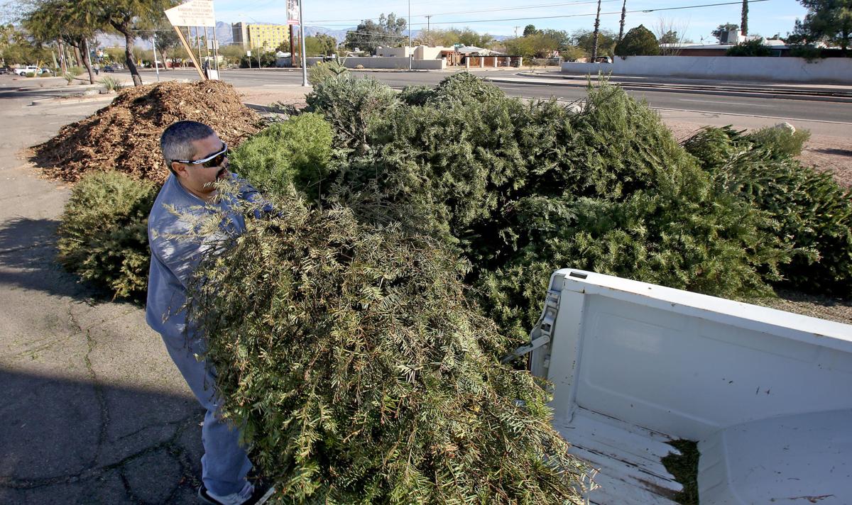 where to recycle your christmas tree in tucson local where to recycle your christmas tree in tucson local