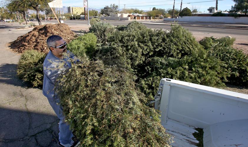 Where to recycle your Christmas tree in Tucson Local news