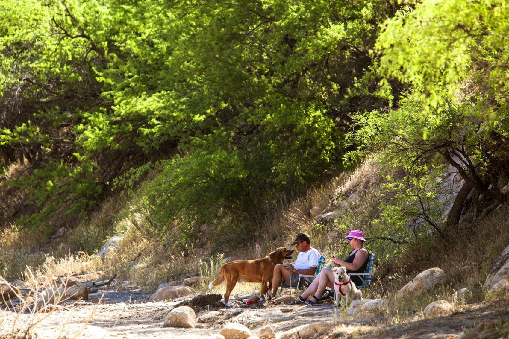 Restaurants, hiking trails and more that allow dogs tucson life