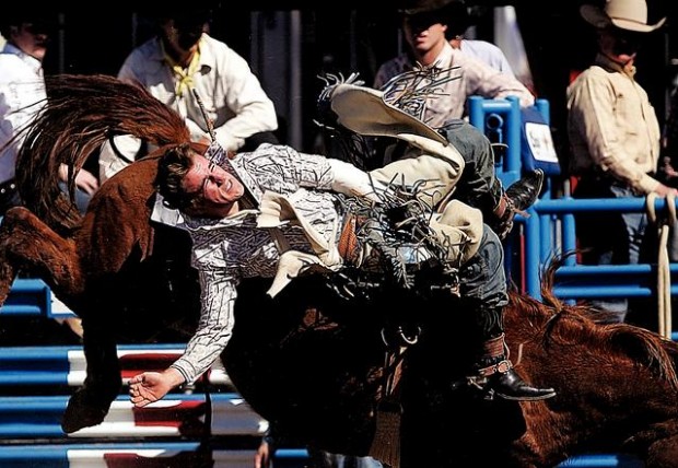 UA Rodeo Club has new arena for practice  
