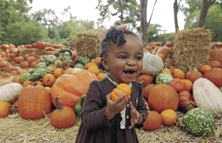 APTOPIX Texas Daily Life Pumpkin Patch