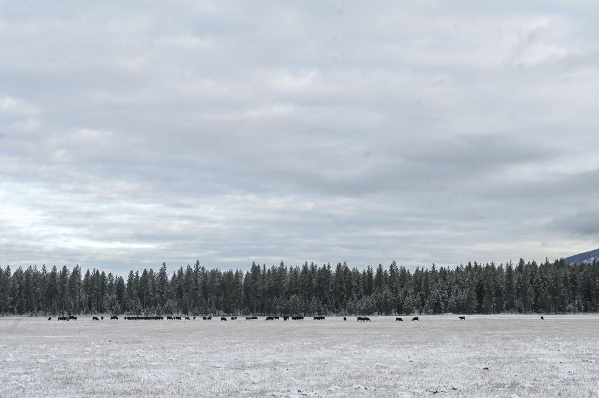 Hit show ‘Yellowstone’ doesn’t just portray ranching in Montana. It has changed it.