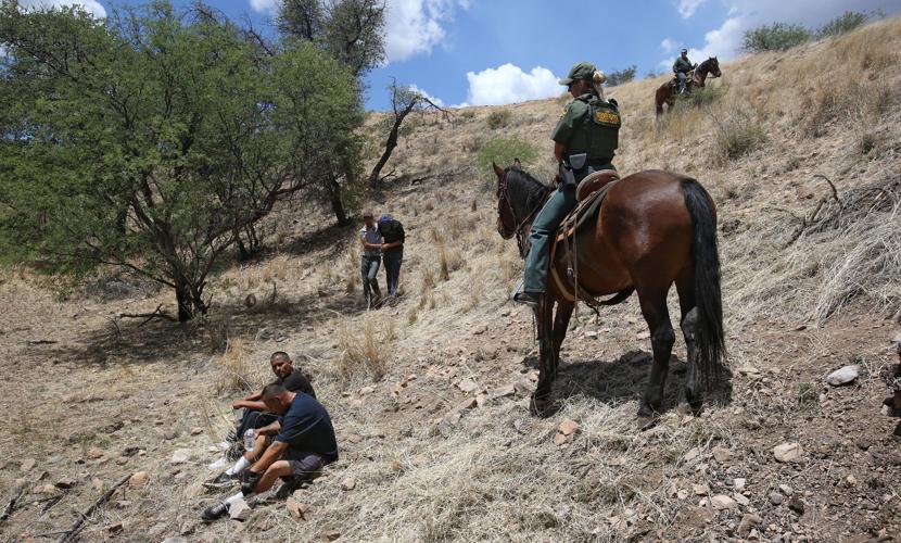 U.S. Border Patrol horse unit
