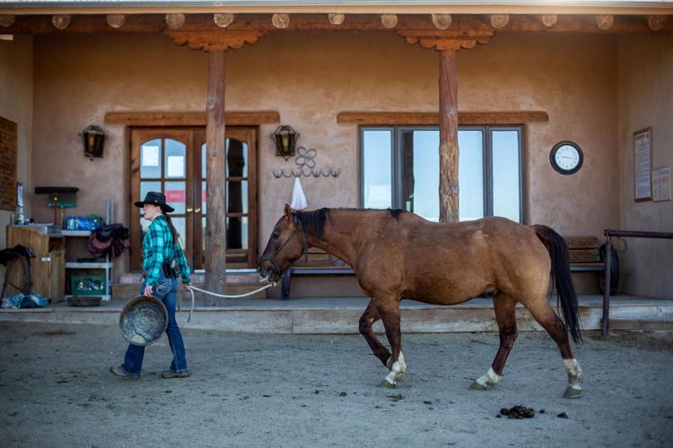 Tanque Verde Ranch (LE)