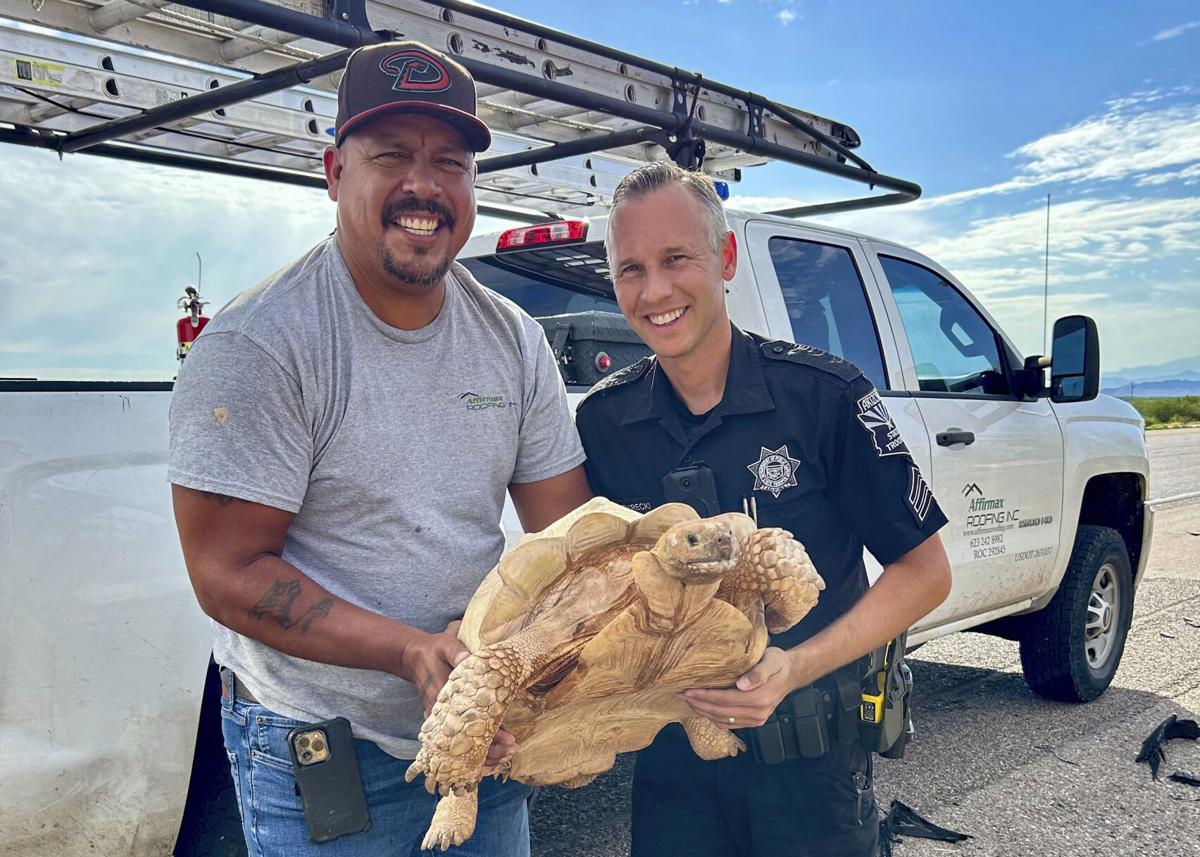 Tortoise on the lam from an ostrich ranch nabbed on interstate north of Tucson