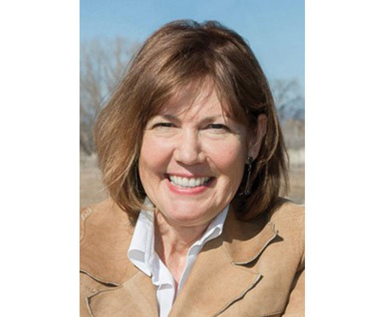 Ann Kirkpatrick