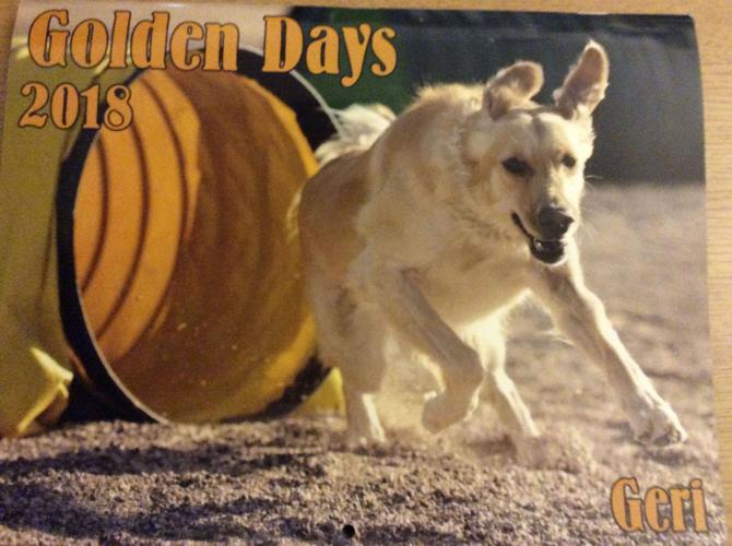 Southern Arizona Golden Retriever Rescue