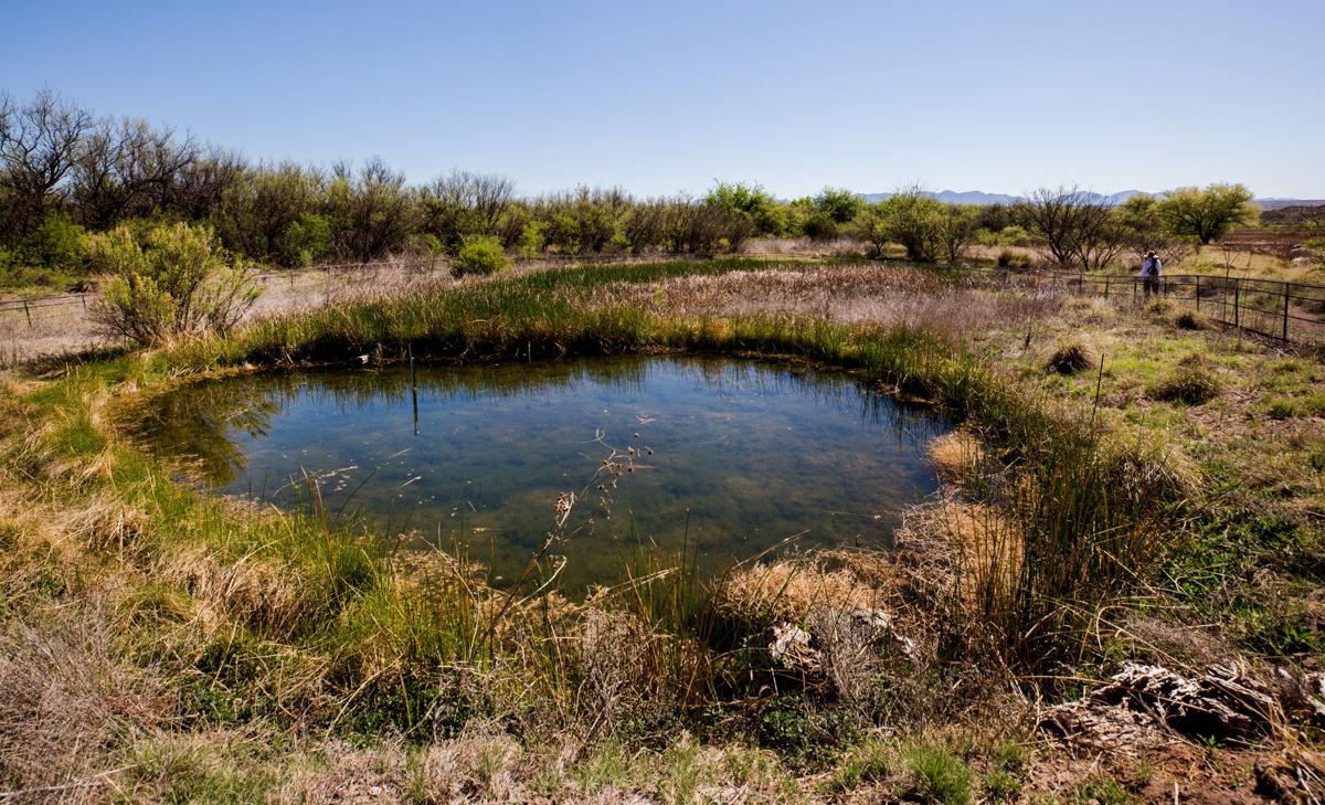 042819-news-vigneto whistleblower-p3