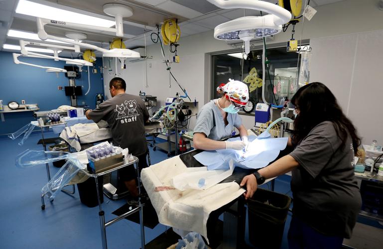Pima Animal Care Center expansion