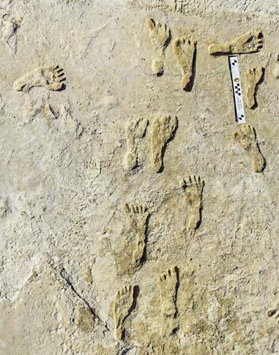 Fossil Human Footprints Americas