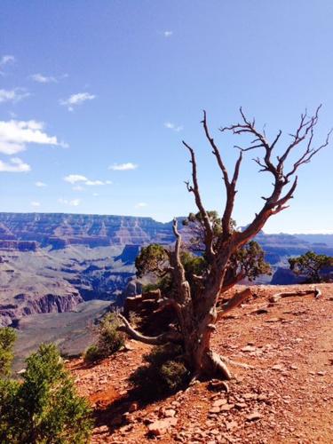 Grand Canyon