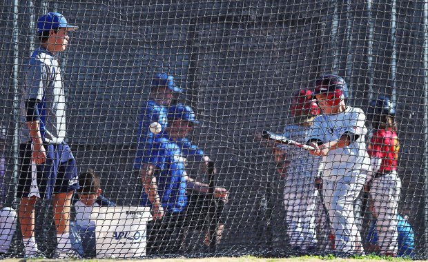 Tucson Youth Baseball Experience