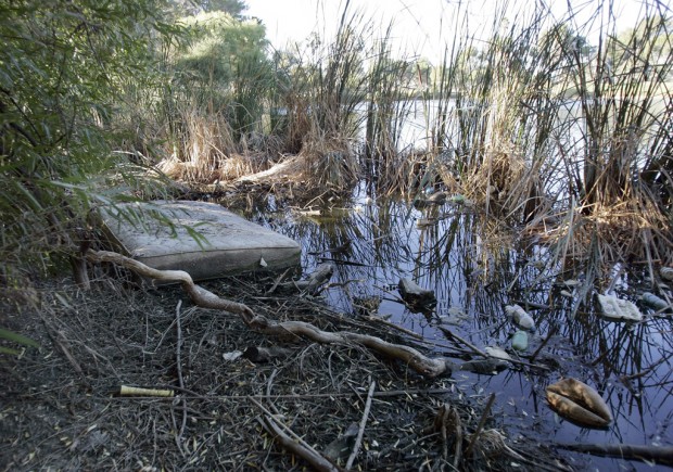 Never-ending story: Trash from wash migrates into park   
