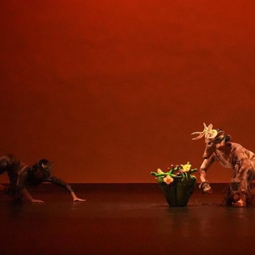 ‘Lost Roots’: A Sky Islands-Inspired Choreography