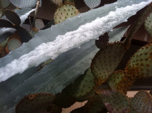 Snowfall around Tucson
