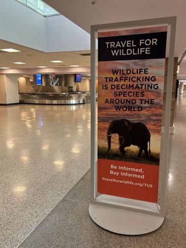 "I travel for wildlife" (copy)
