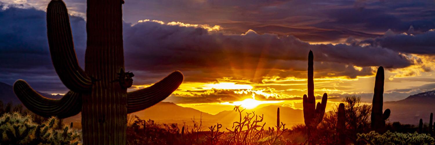 “It’s a Wide World” Desert Artisans Gallery