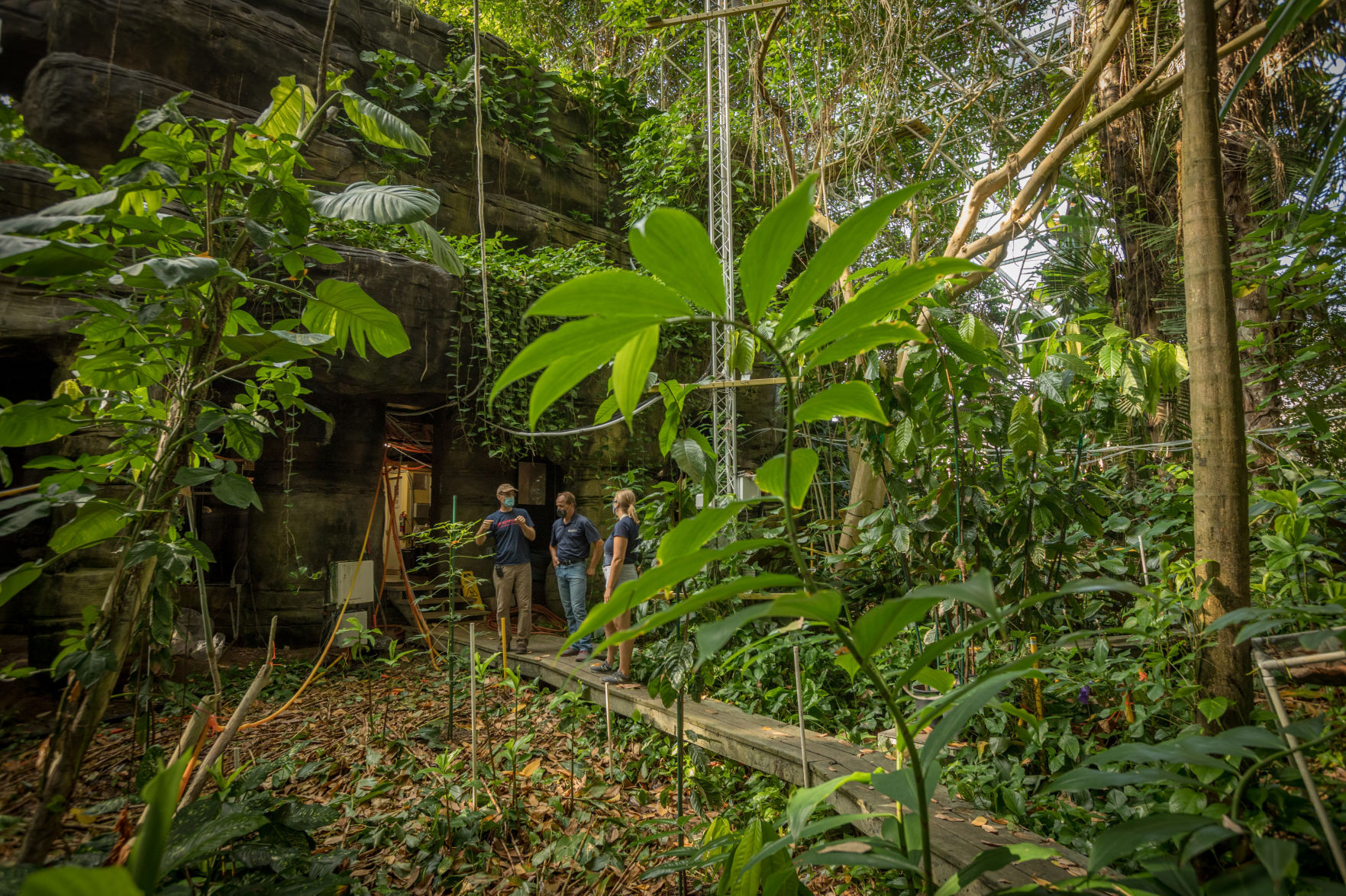 Tucson's Biosphere 2 Reopens To Visitors For Walking Tours | Caliente ...