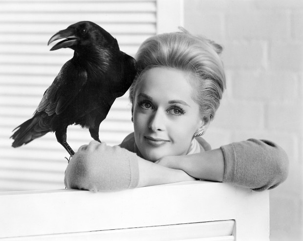 screening at Loft of 'The Birds'   