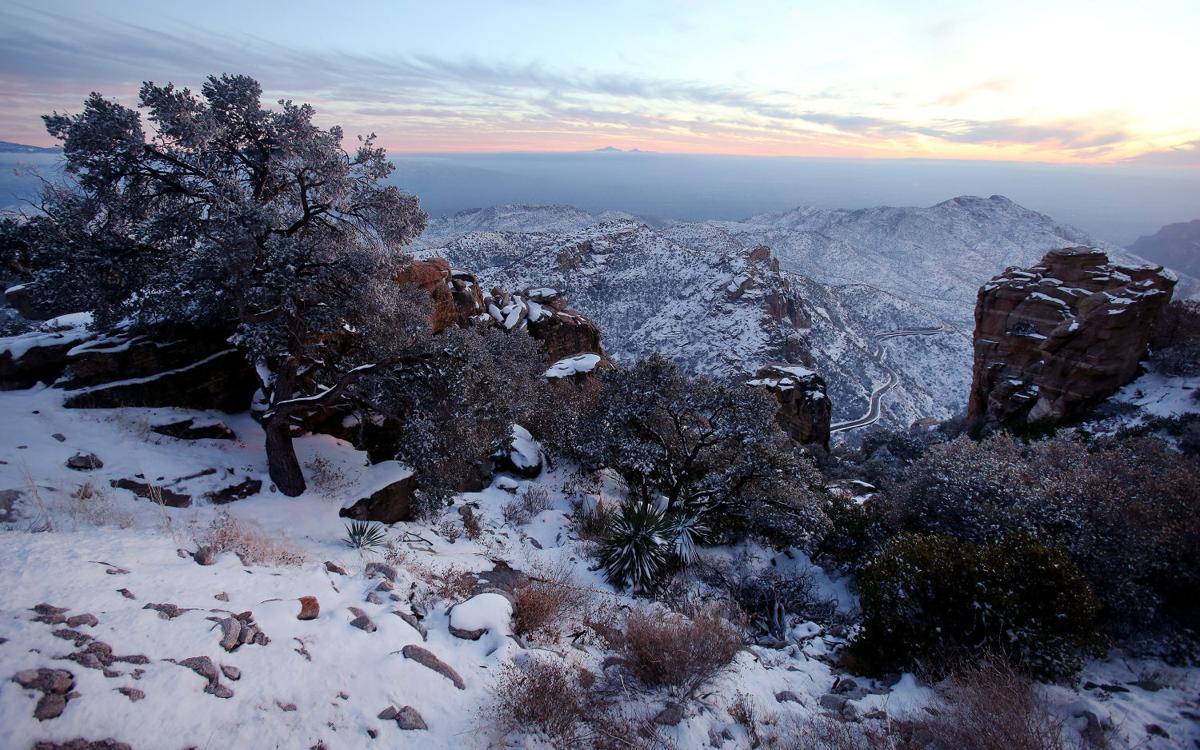 Photos Snowfall in Tucson, Arizona, California Latest News