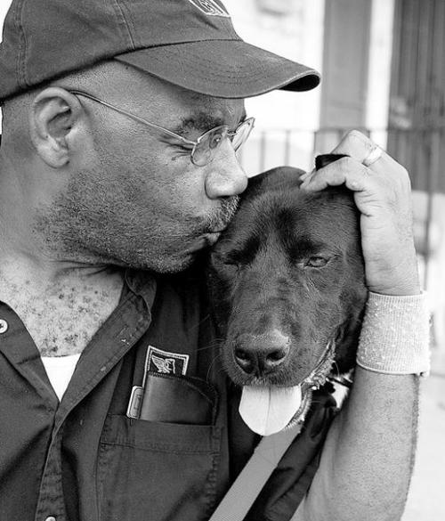 Man, dog reunited 4 years after Katrina  