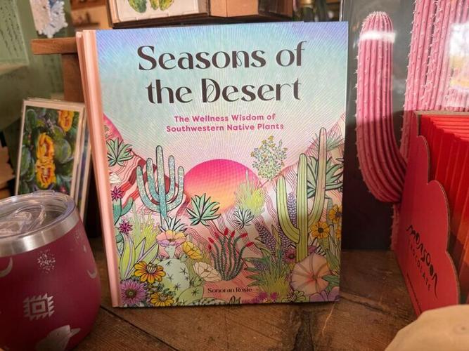 $25 Challenge: Sonoran House