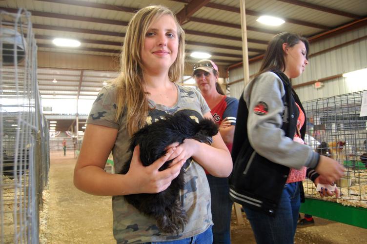 Pima County Fair's poultry show