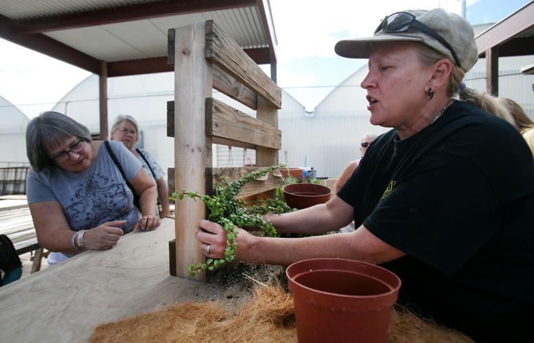 Pallet-making class at Green Things