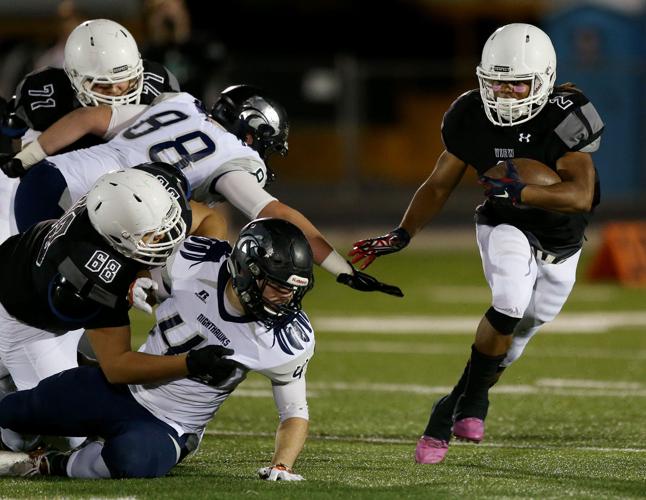 Mountain View Mountain Lions