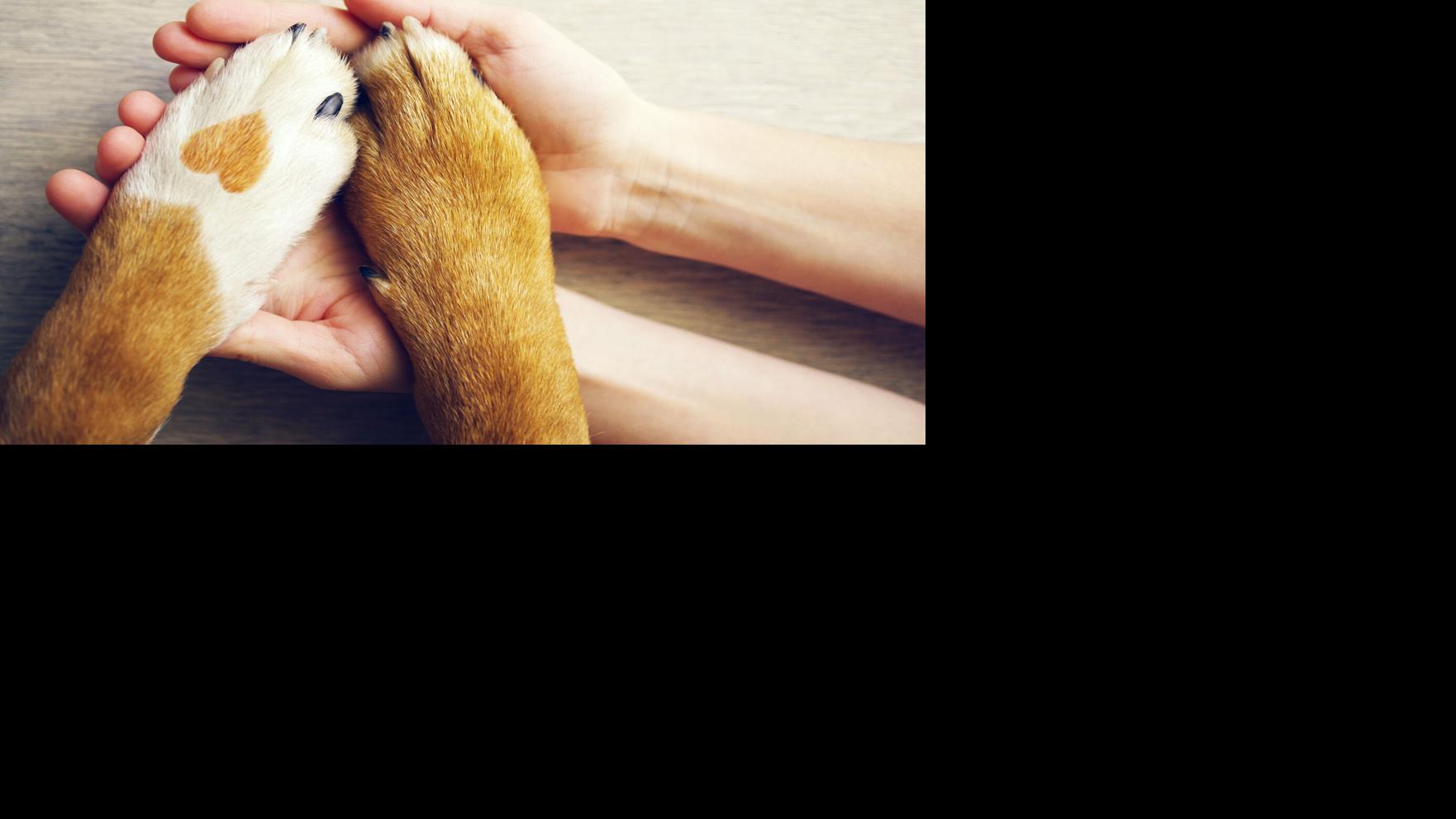 Dr. Barton Goldsmith: About a dog