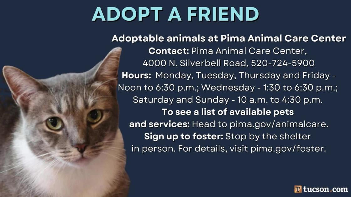 Adopt a friend: Local pets up for adoption for August 30