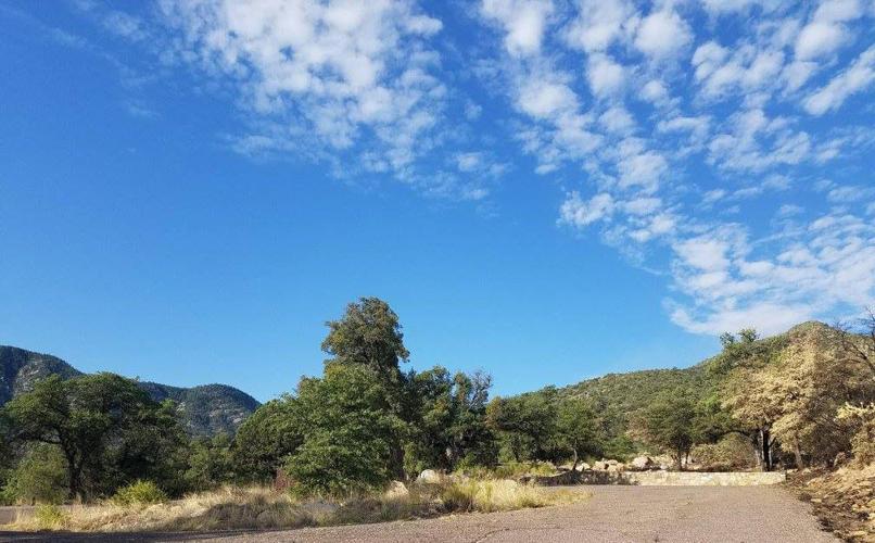 Coronado National Forest