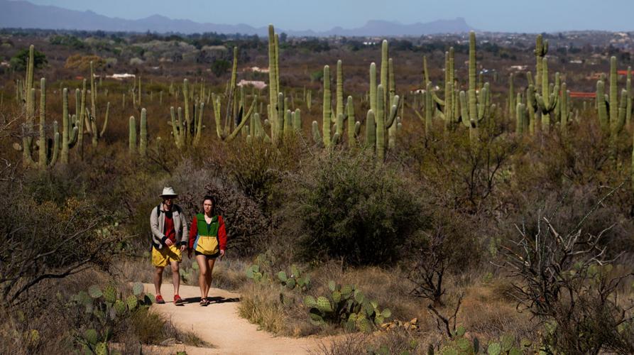 Saguaro National Park