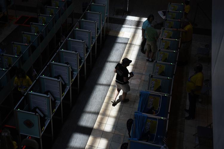 Election 2024 Explainer Poll Sampling