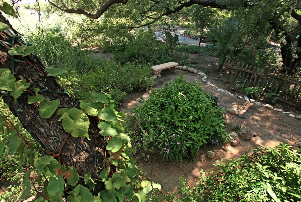 Shade garden (copy)