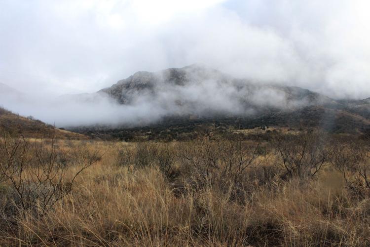 Madera Canyon waterfall