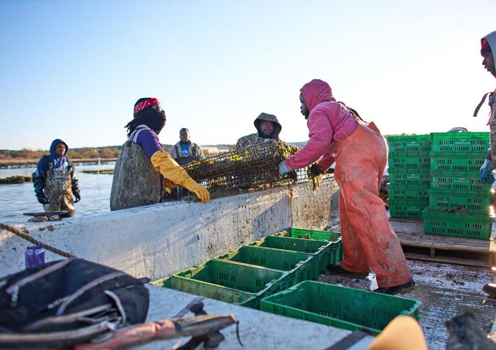 Cherrystone Aqua-Farms
