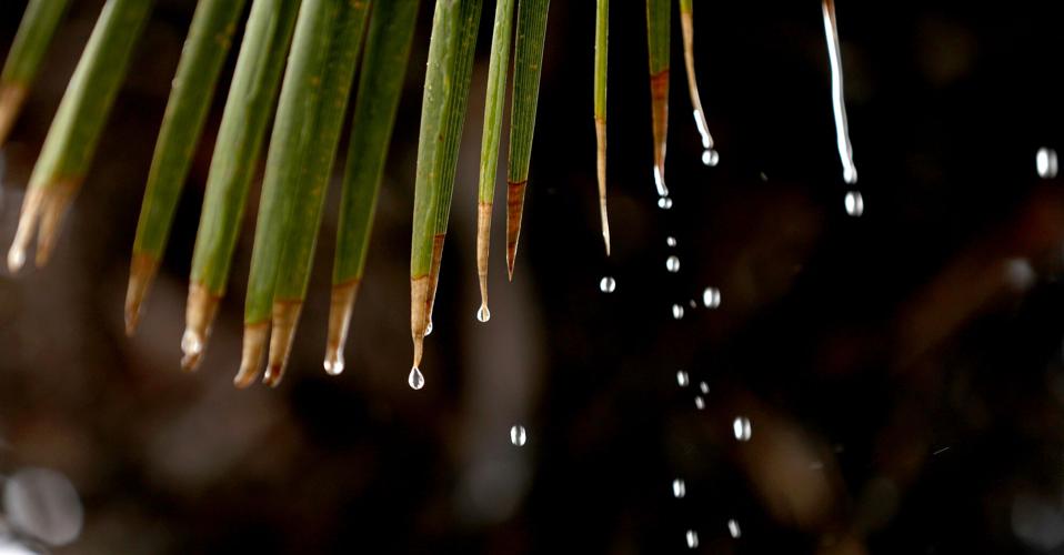 Rain
