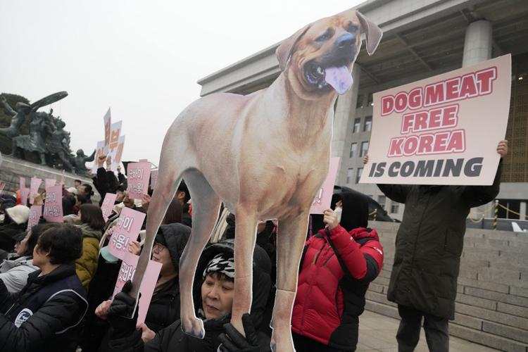 South Korea Dog Meat