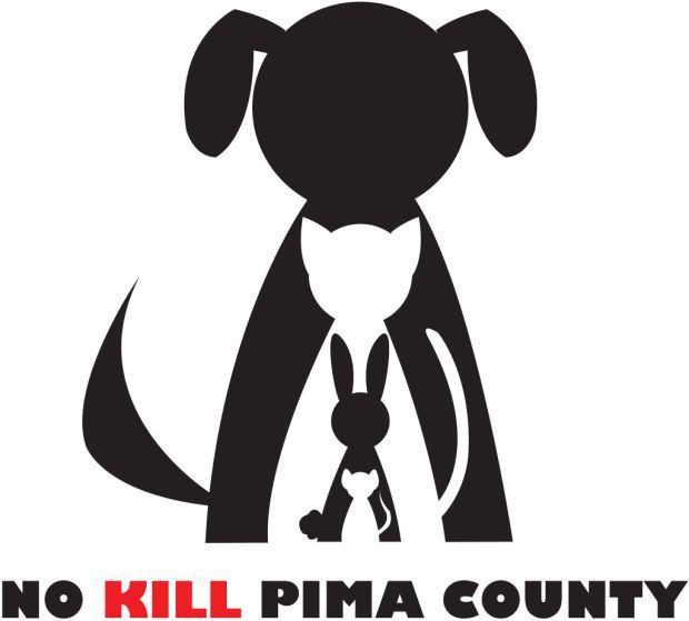 Summer is the peak time for shelter overcrowding