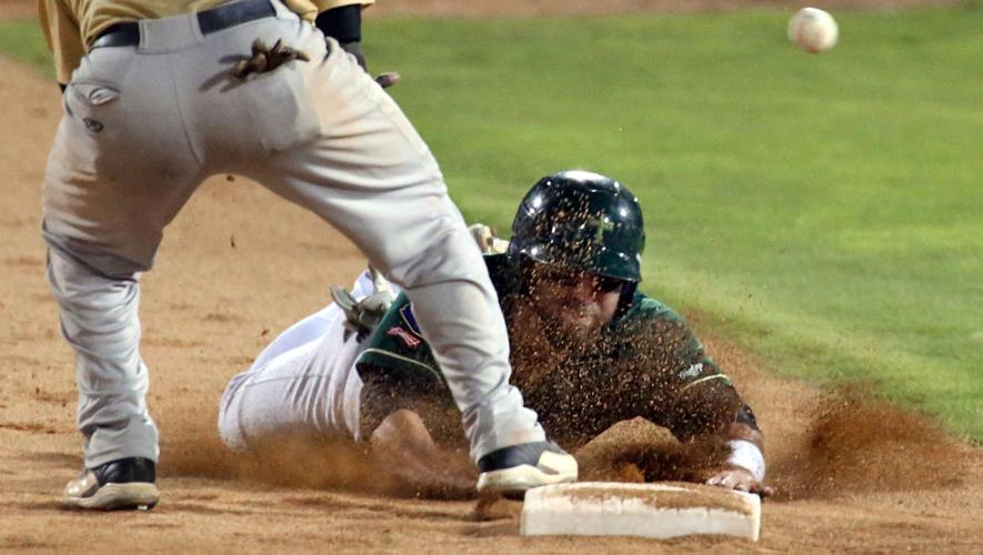 Saguaros vs White Sands