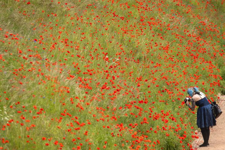 APTOPIX Germany Daily Life