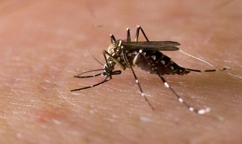 University of Arizona: The Art of Science