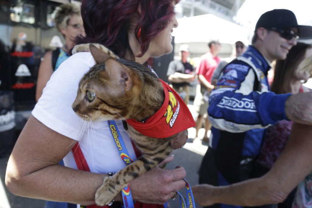 Photos Animal Shots Of The Week Entertainment Tucson Com