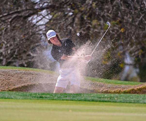 Arizona men's golf | Zach Pollo