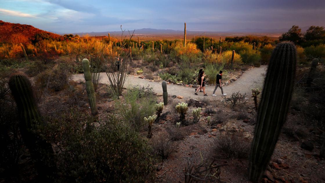 From Pride celebrations to safari nights, Tucson’s June calendar is packed