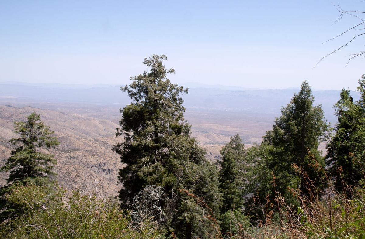 Mount Lemmon